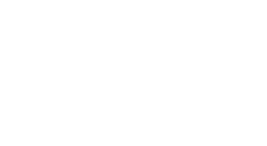 logo_g4